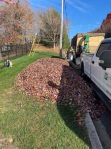 Edward's Lawn & Landscaping Professional Leaf Removal Services in Ellicott City, MD