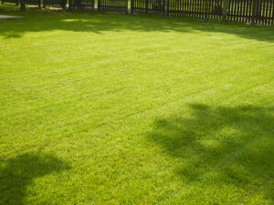Edward's Lawn Limestone Applications for Lawns in Ellicott City, MD