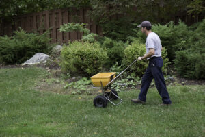 Edward's Lawn Potassium Applications for Lawns in Ellicott City, MD