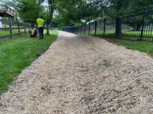 Edward's Lawn & Landscaping Lawn Drainage Solutions in Clarksville, MD