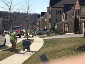 Edward's Lawn & Landscaping Winter Property Cleanup in Dayton, MD