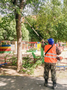 Edward's Lawn & Landscaping Winter Tree Trimming in West Friendship, MD