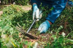 Edward's Lawn & Landscaping Weed Control Services in Laurel, MD