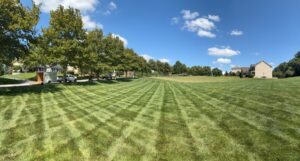 Edward's Lawn Lawn Maintenance Services in Maryland