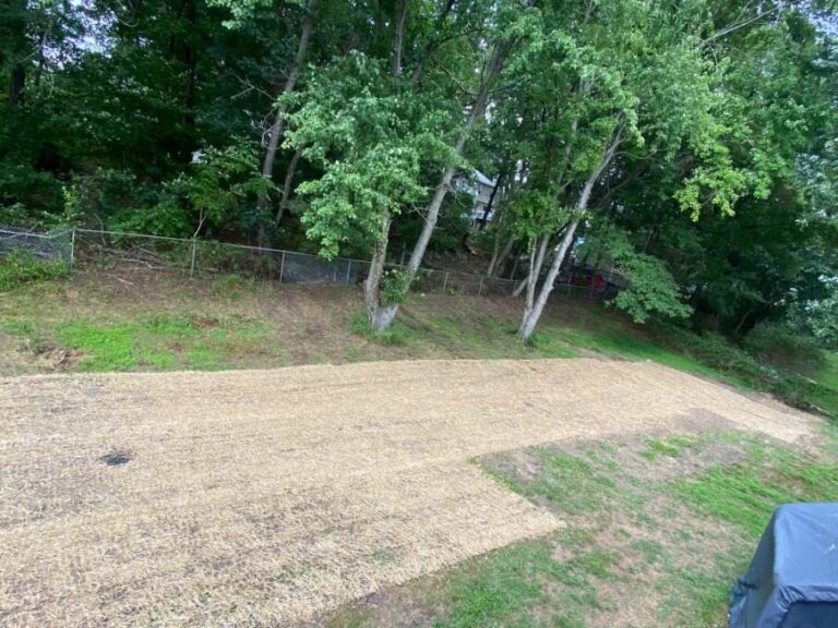 Edward's Lawn & Landscaping Standing Water