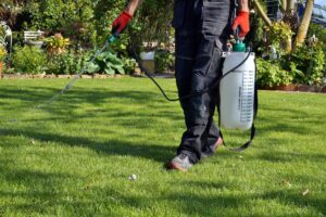 Edward's Lawn & Landscaping Weed Control Services in Halethorpe, MD