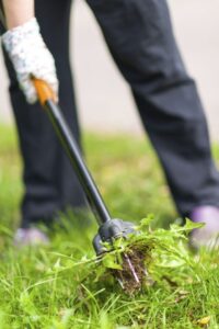 Edward's Lawn & Landscaping Weed Control Services in Woodstock, MD