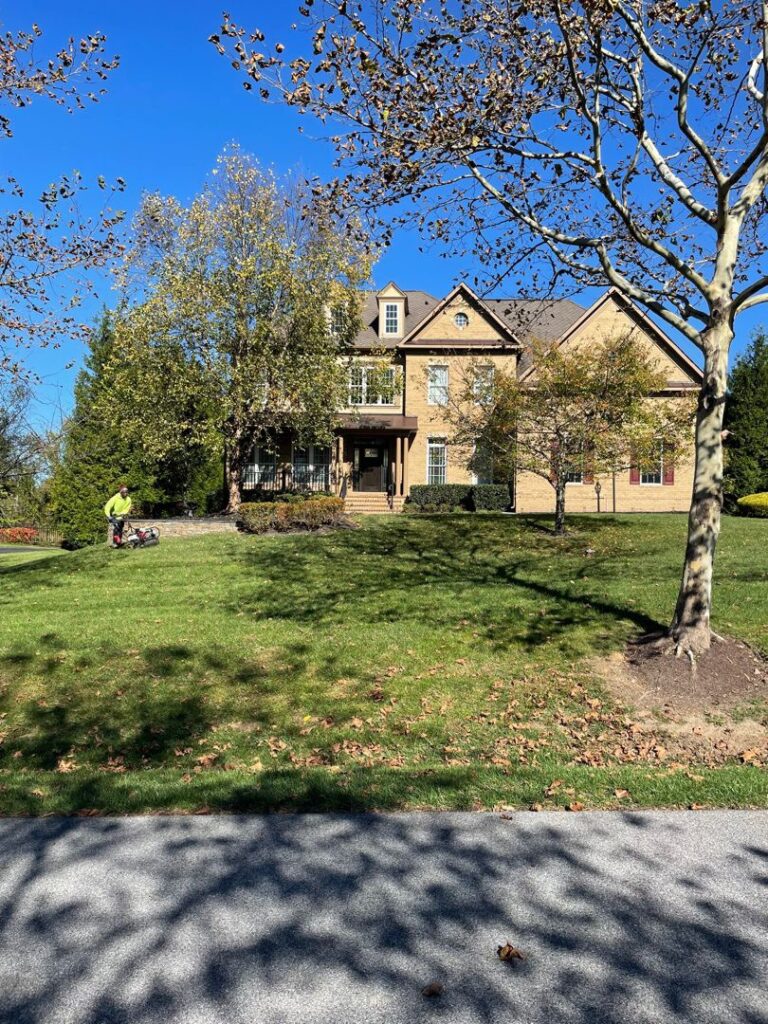 Edward's Lawn & Landscaping Aeration and Overseeding Services