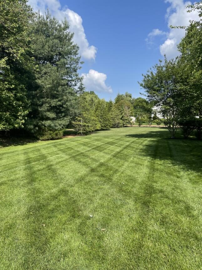 Edward's Lawn & Landscaping Full-Service Lawn Care Program