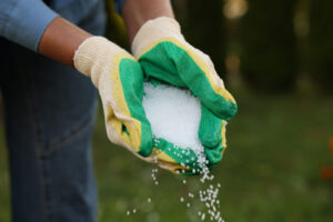 Edward's Lawn & Landscaping Lawn Fertilization Services in Brookeville, MD
