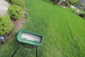 Edward's Lawn & Landscaping Lawn Fertilization Services in West Friendship, MD