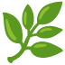 Leaf Icon