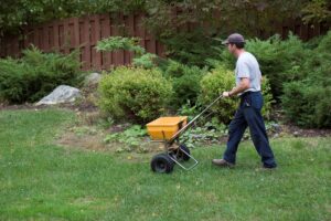 Edward's Lawn & Landscaping Lawn Fertilization Services in Annapolis, MD