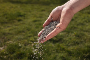 Edward's Lawn & Landscaping Lawn Fertilization Services in Marriottsville, MD