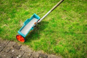 Edward's Lawn & Landscaping Lawn Fertilization Services in Woodstock, MD