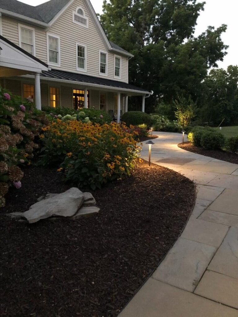 Edward's Lawn & Landscaping Native Plants That Thrive in Maryland Yards