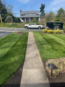Edward's Lawn & Landscaping Late Summer Lawn Care